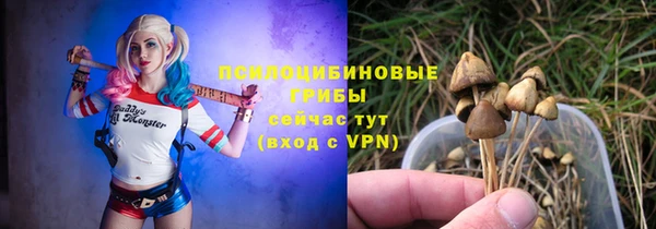 гидра Магас
