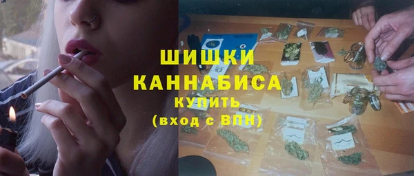 гидра Магас