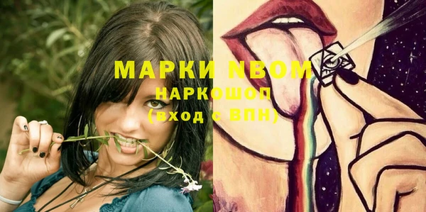 крисы Майский