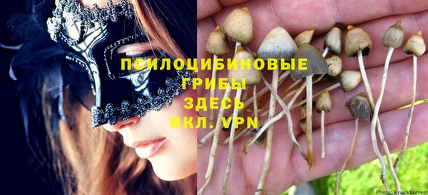 гидра Магас