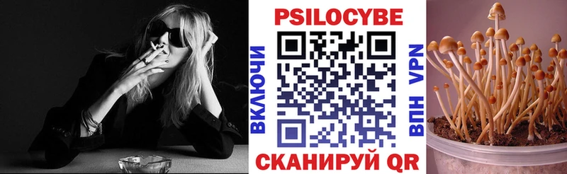 Купить где  Липецк  Псилоцибиновые грибы Psilocybe 